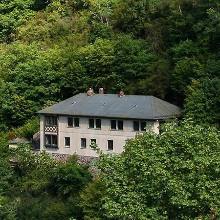 Haus Am Berg Villa Bad Bertrich Bagian luar foto