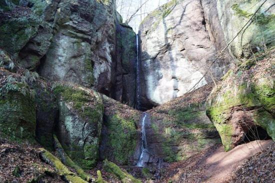 Haus Am Berg Villa Bad Bertrich Bagian luar foto