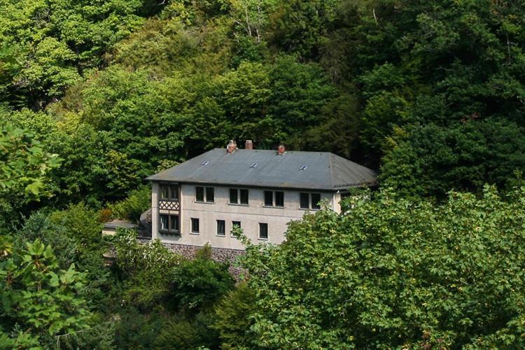 Haus Am Berg Villa Bad Bertrich Bagian luar foto
